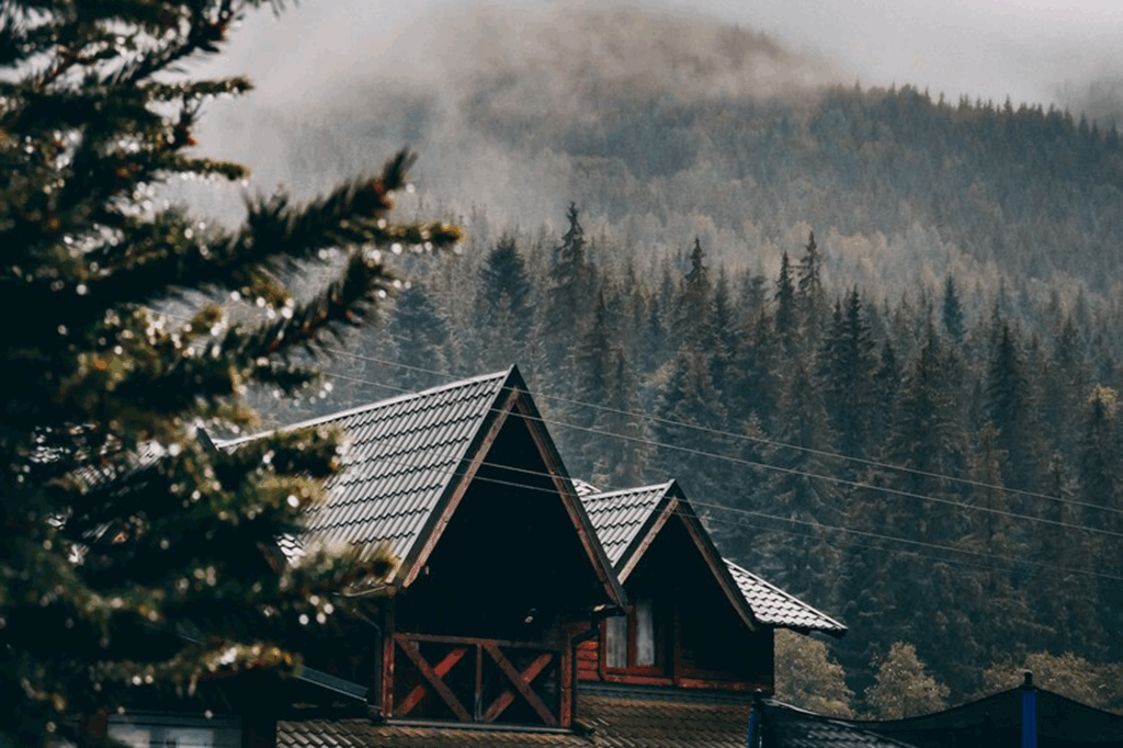 Kausani Resort
